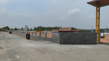 Residential Plot for Sale in Othakalmandapam, Coimbatore (1 Cent)