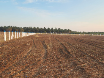 Residential Plot for Sale in Karamadai, Coimbatore (1 Cent)