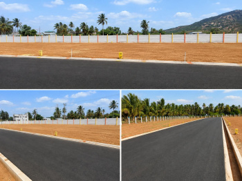 Residential Plot for Sale in Palladam, Coimbatore (750 Sq.ft.)