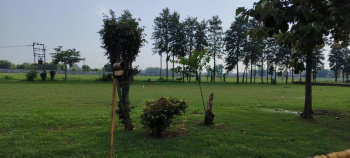 230 Sq. Yards Residential Plot for Sale in Sahnewal, Ludhiana