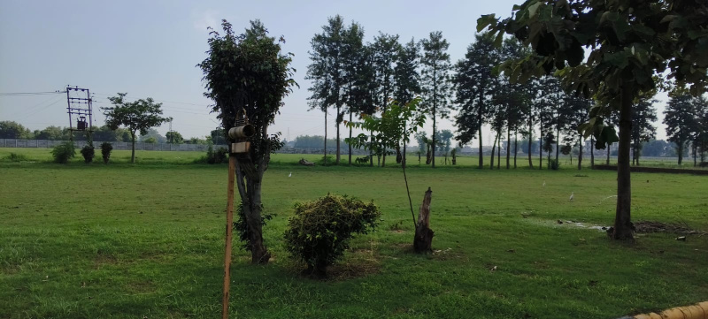 230 Sq. Yards Residential Plot For Sale In Sahnewal, Ludhiana