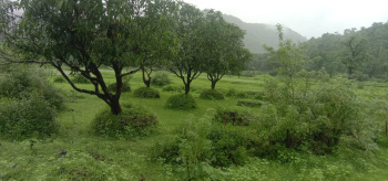 3 Acre Residential Plot for Sale in Mangaon, Raigad