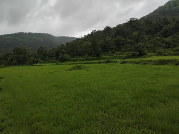 4 Acre Agricultural/Farm Land for Sale in Mangaon, Raigad