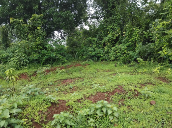 19 Acre Agricultural/Farm Land For Sale In Mahad, Raigad