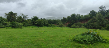 4 Acre Agricultural/Farm Land For Sale In Mahad, Raigad