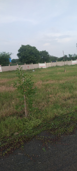 5000 Sq.ft. Agricultural/Farm Land for Sale in Bairagarh, Bhopal