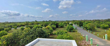 10000 Sq.ft. Agricultural/Farm Land for Sale in Acharapakkam, Chengalpattu