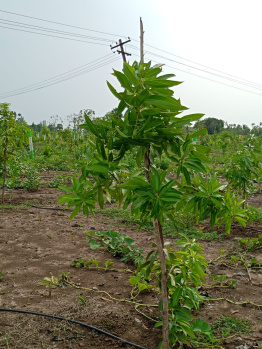 Property for sale in Pulipakkam, Chengalpattu