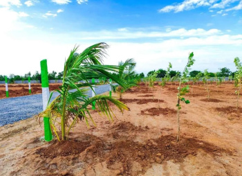 9600 Sq.ft. Agricultural/Farm Land for Sale in Madhurandagam, Chennai