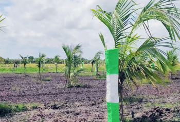 Property for sale in Acharapakkam, Chengalpattu