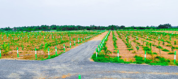 9600 Sq.ft. Agricultural/Farm Land for Sale in Medavakkam, Chennai