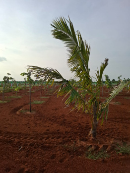 Property for sale in Melmaruvathur, Chennai