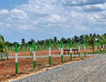 10000 Sq.ft. Agricultural/Farm Land for Sale in Marakkanam, Villupuram
