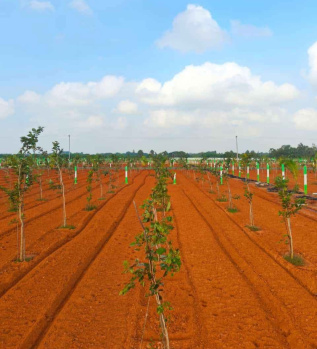 Property for sale in East Coast Road, Pondicherry