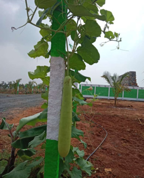 Property for sale in Kovalam, Chennai