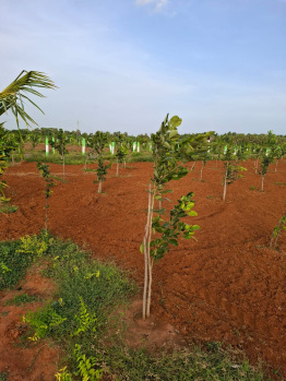 Property for sale in Kovalam, Chennai