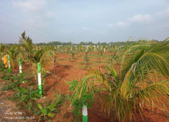 Agricultural/Farm Land for Sale in Madhurandagam, Chennai (10000 Sq.ft.)