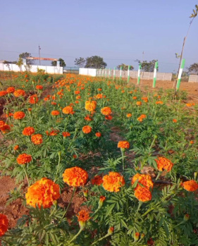 Agricultural/Farm Land for Sale in Melmaruvathur, Chennai (96000 Sq.ft.)