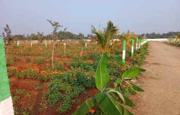 Property for sale in Maiyur, Chengalpattu