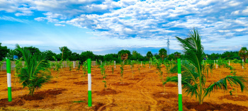 Agricultural/Farm Land for Sale in Ecr To Marakanam Road, Chennai (9600 Sq.ft.)
