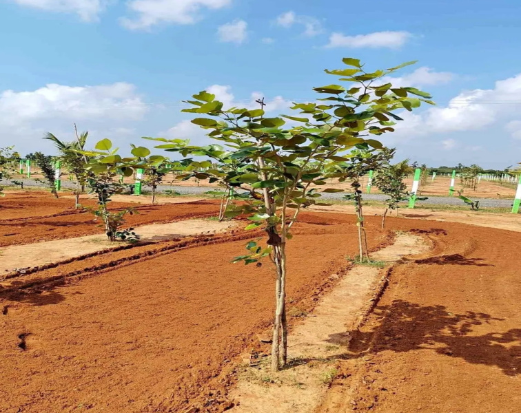 Property for sale in Poonamallee, Chennai