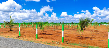 Agricultural/Farm Land for Sale in Madambakkam, Chennai (10000 Sq.ft.)