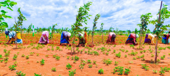 Agricultural/Farm Land for Sale in Ecr To Marakanam Road, Chennai (9600 Sq.ft.)