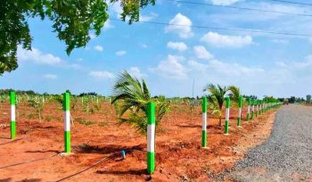 Agricultural/Farm Land for Sale in Ecr To Marakanam Road, Chennai (11000 Sq.ft.)