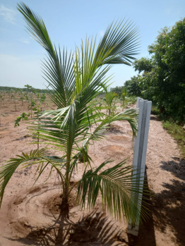 Property for sale in Cheyyur, Chengalpattu