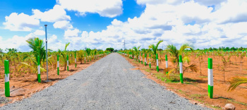 22 cents farm land immediate Registration