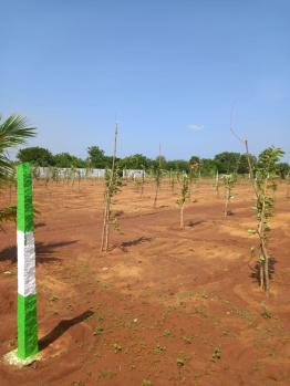 Property for sale in Karunguzhi, Chengalpattu