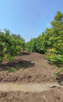 Property for sale in Acharapakkam, Chengalpattu