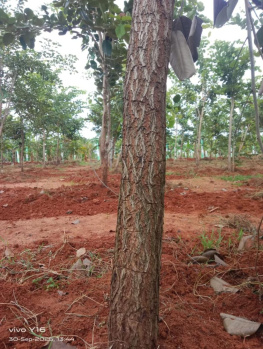 Property for sale in Melmaruvathur, Chennai