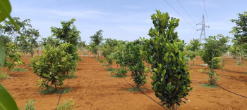 Property for sale in Melmaruvathur, Chennai