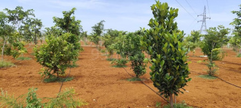 Property for sale in Melmaruvathur, Chennai