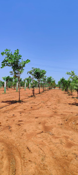 Property for sale in Walajabad, Kanchipuram