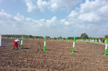 Agricultural/Farm Land for Sale in Mamandur, Chengalpattu (10000 Sq.ft.)