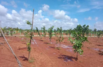 Property for sale in Mamandur, Chengalpattu