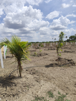 Agricultural/Farm Land for Sale in Uthiramerur, Kanchipuram (9600 Sq.ft.)