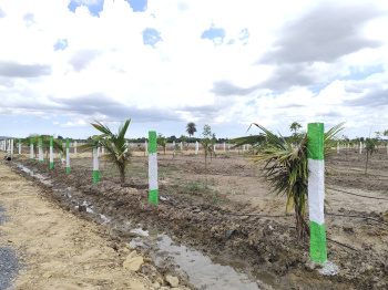 Property for sale in Uthiramerur, Kanchipuram