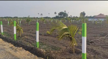 Agricultural/Farm Land for Sale in Walajabad, Kanchipuram (9600 Sq.ft.)