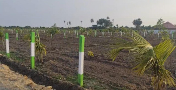 Property for sale in Mahindra World City, Kanchipuram