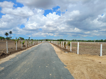 Property for sale in Mahindra World City, Kanchipuram