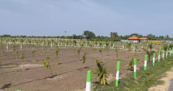 Property for sale in Palayaseevaram, Kanchipuram