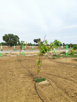 Property for sale in Palayaseevaram, Kanchipuram