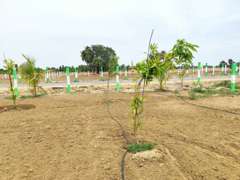 Property for sale in Palayaseevaram, Kanchipuram