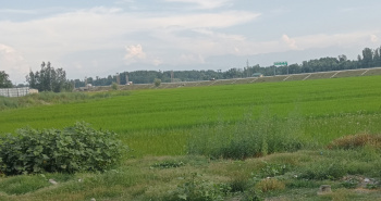 46 Marla Commercial Lands /Inst. Land for Sale in Awantipora, Pulwama