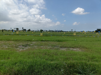 1000 Sq.ft. Residential Plot for Sale in Alandur, Chennai