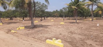 1200 Sq.ft. Residential Plot for Sale in Vengal, Chennai