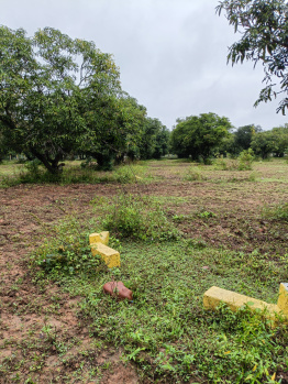 1188 Sq.ft. Residential Plot for Sale in Vengal, Chennai